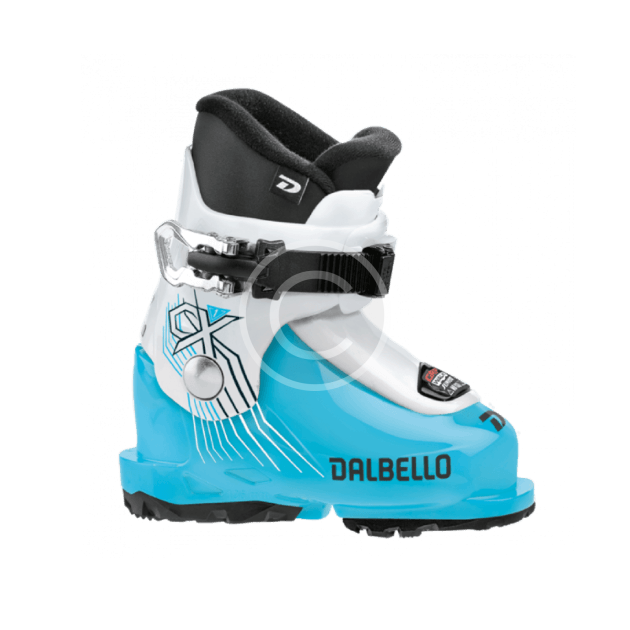Ski Boots